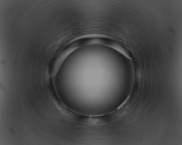 X0000090990570200708021525