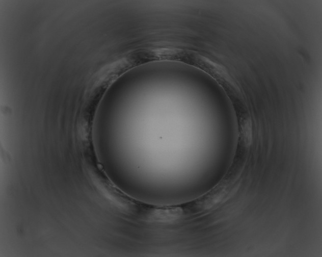 X0000090990571200708021525