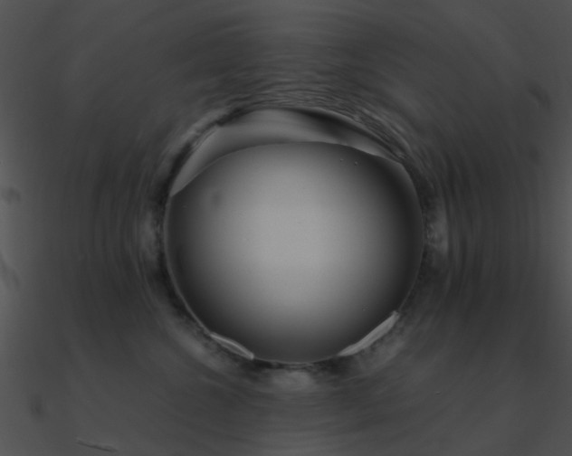 X0000090990572200708021525