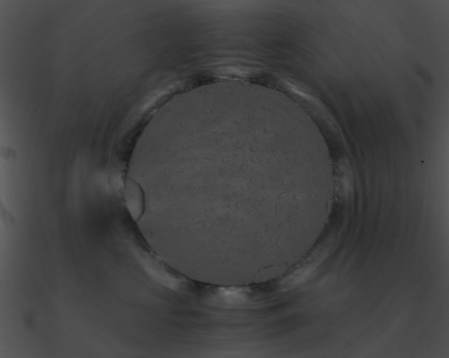 X0000090990573200708021525