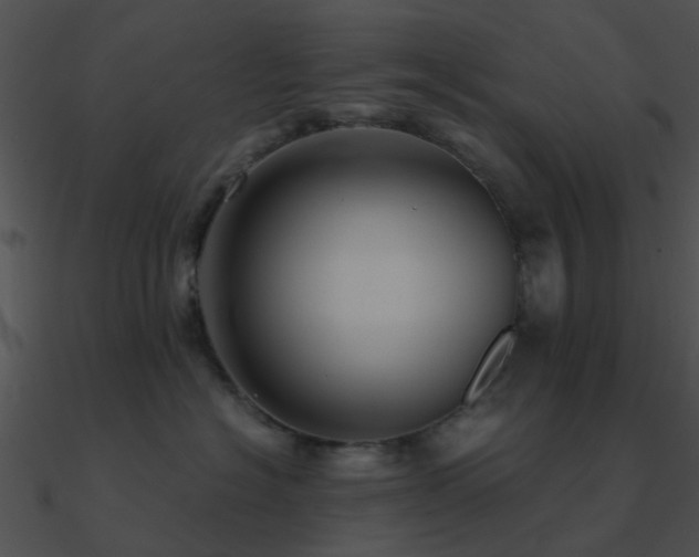 X0000090990574200708021525