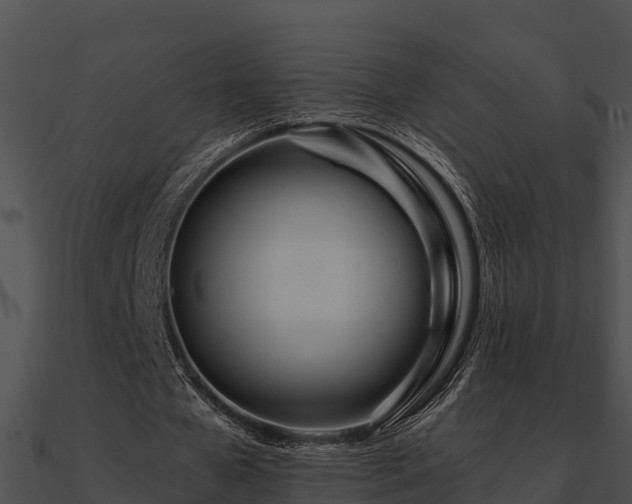 X0000090990577200708021524