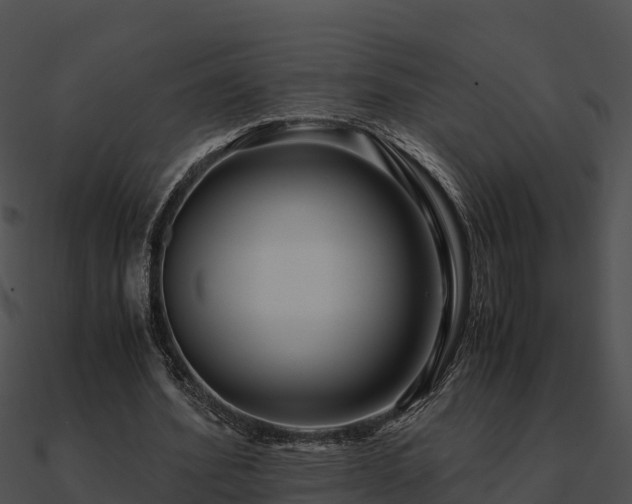 X0000090990580200708021524