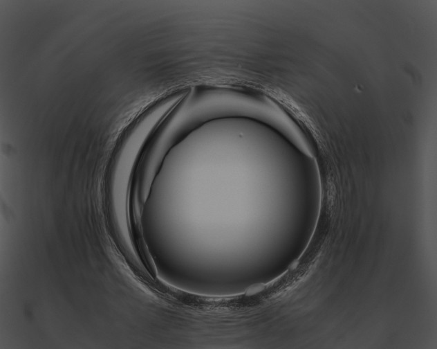 X0000090990581200708021524
