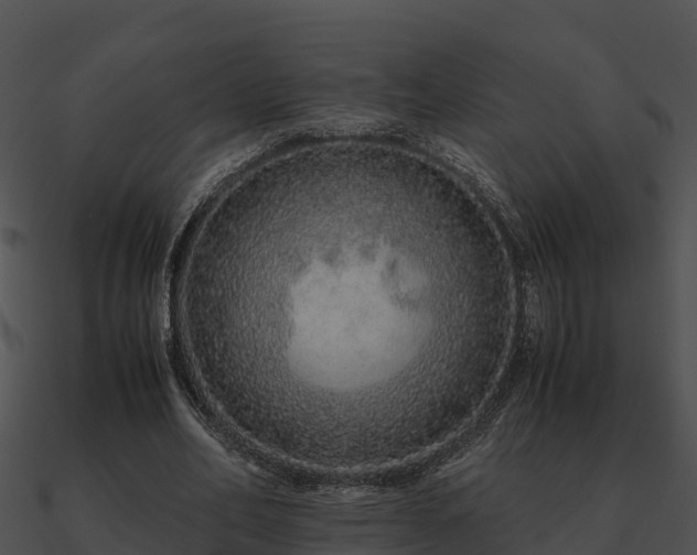 X0000090990582200708021524