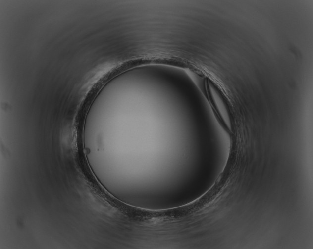 X0000090990584200708021524