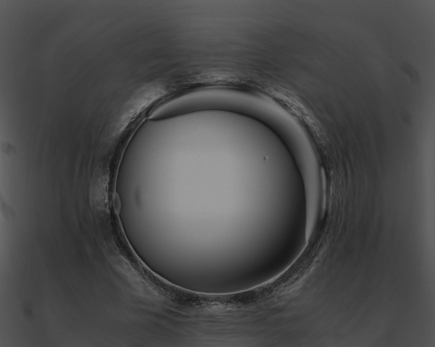 X0000090990585200708021524