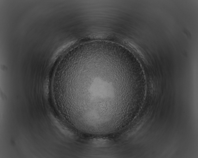 X0000090990586200708021524