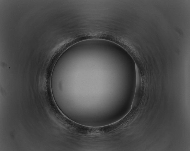 X0000090990587200708021524