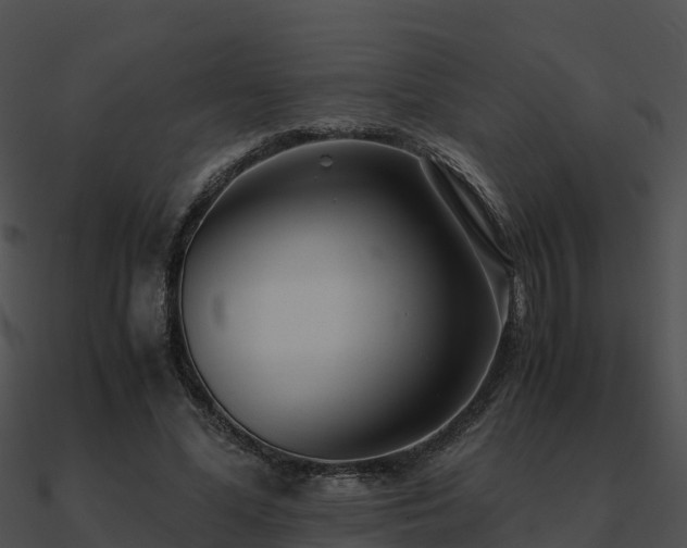 X0000090990588200708021524