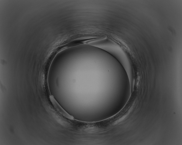 X0000090990589200708021524