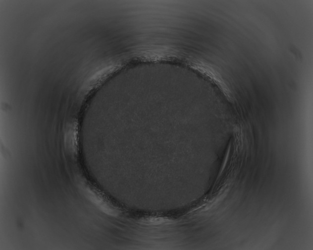 X0000090990590200708021524