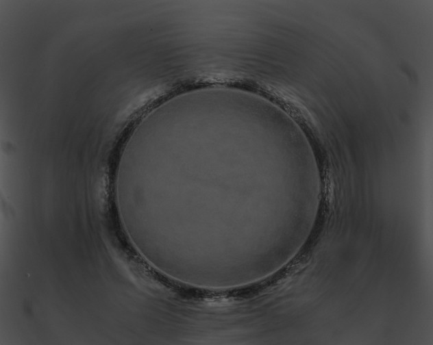 X0000090990591200708021524