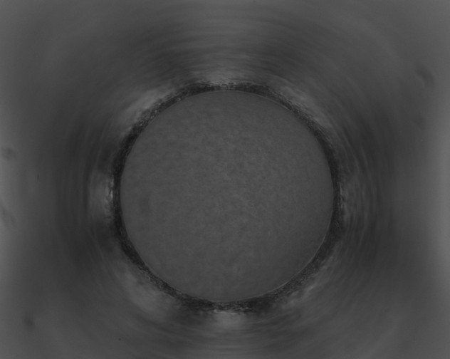 X0000090990592200708021524