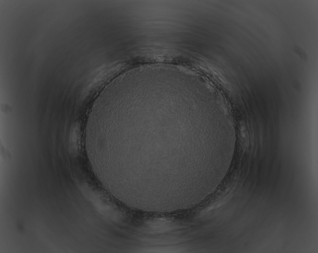 X0000090990594200708021524