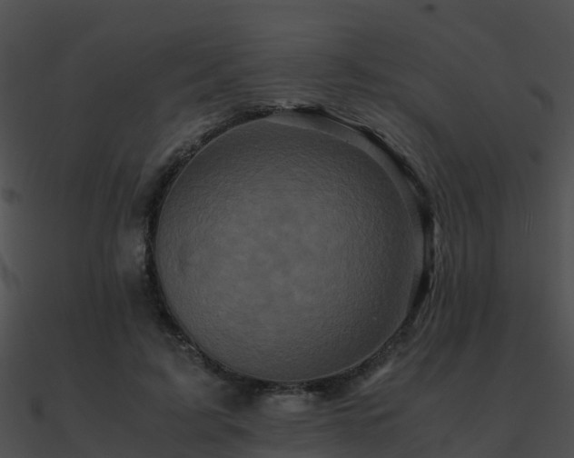 X0000090990595200708021524