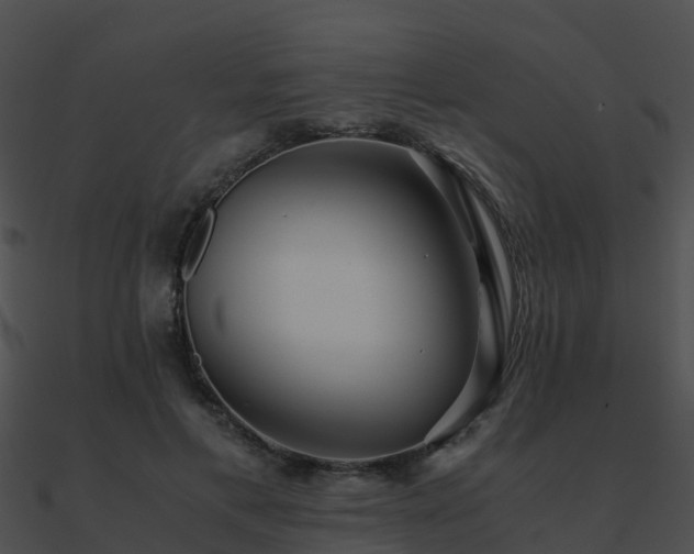 X0000090990597200708021524
