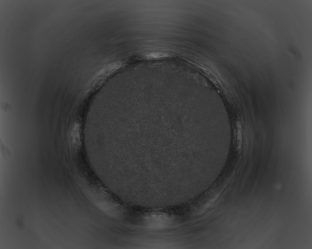 X0000090990598200708021524