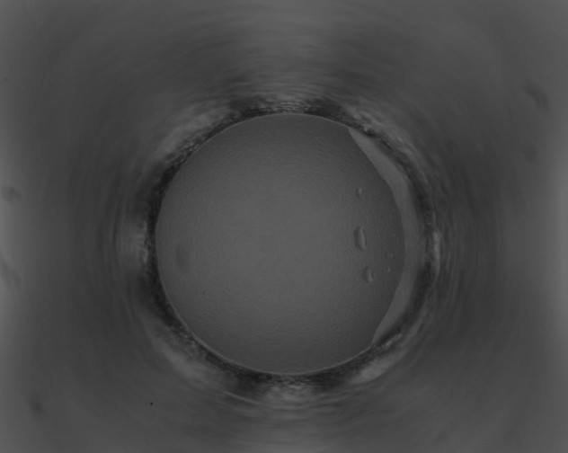 X0000090990599200708021524