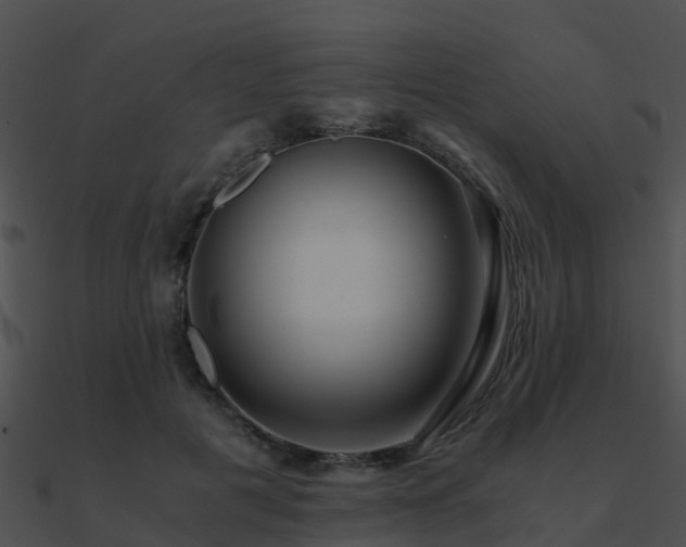 X0000090990601200708021524