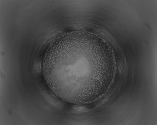 X0000090990602200708021524