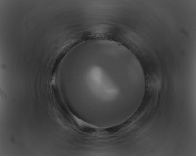 X0000090990603200708021524