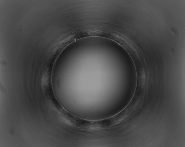 X0000090990604200708021524