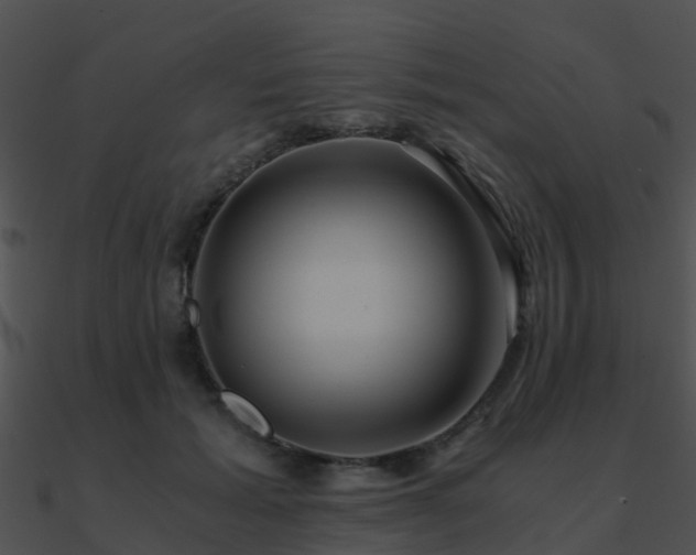 X0000090990605200708021524