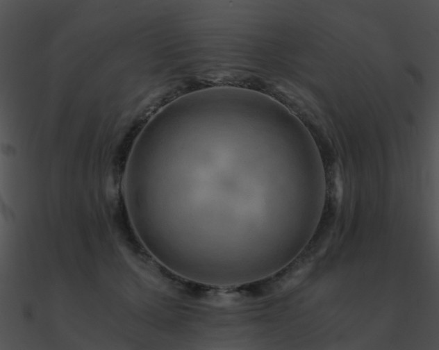 X0000090990607200708021523