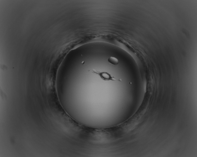 X0000090990608200708021523