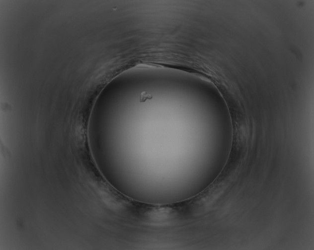 X0000090990609200708021523