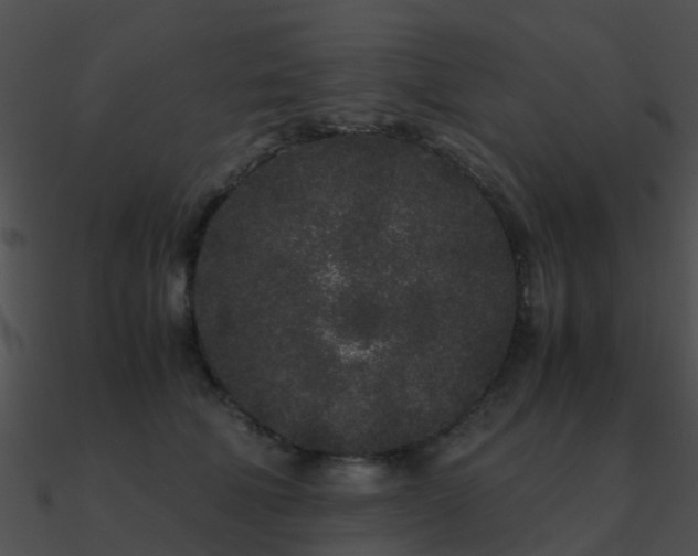 X0000090990610200708021523