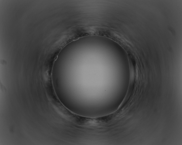 X0000090990611200708021523