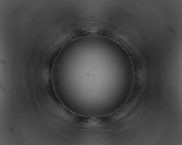 X0000090990612200708021523