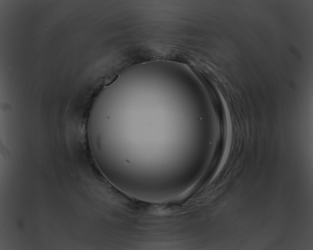 X0000090990613200708021523