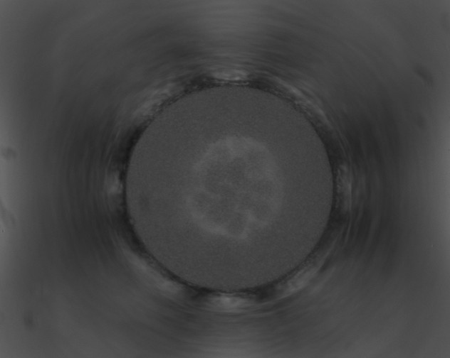 X0000090990614200708021523