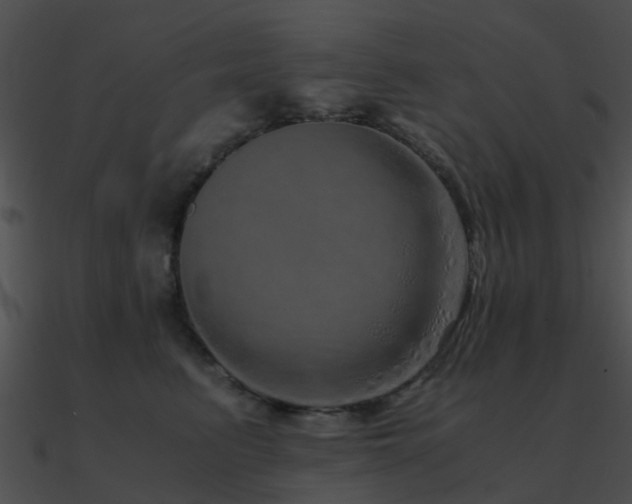 X0000090990615200708021523