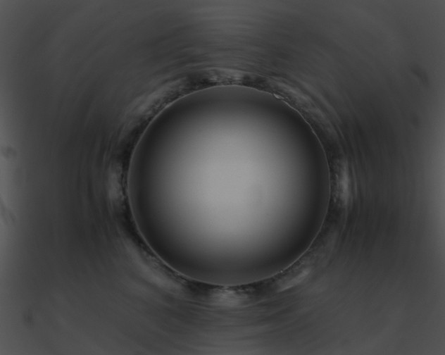 X0000090990616200708021523
