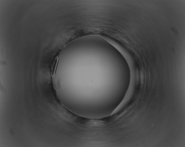 X0000090990617200708021523