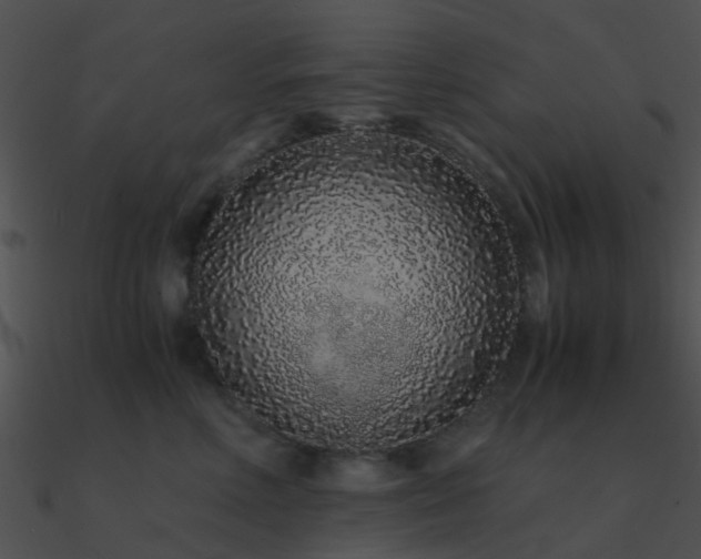 X0000090990618200708021523