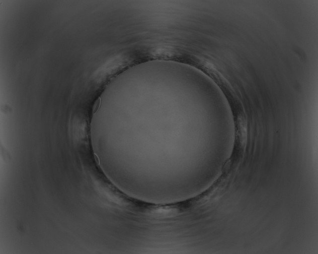 X0000090990619200708021523