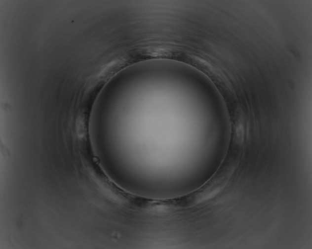 X0000090990620200708021523