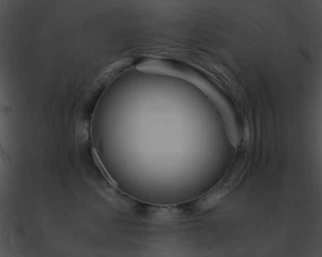 X0000090990621200708021523