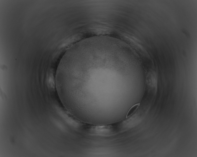 X0000090990622200708021523