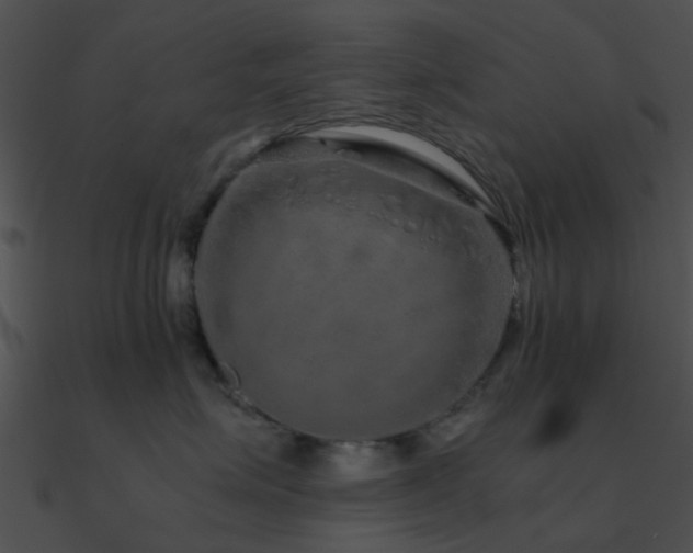 X0000090990623200708021523