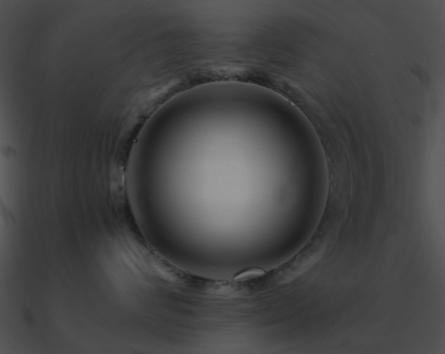 X0000090990624200708021523