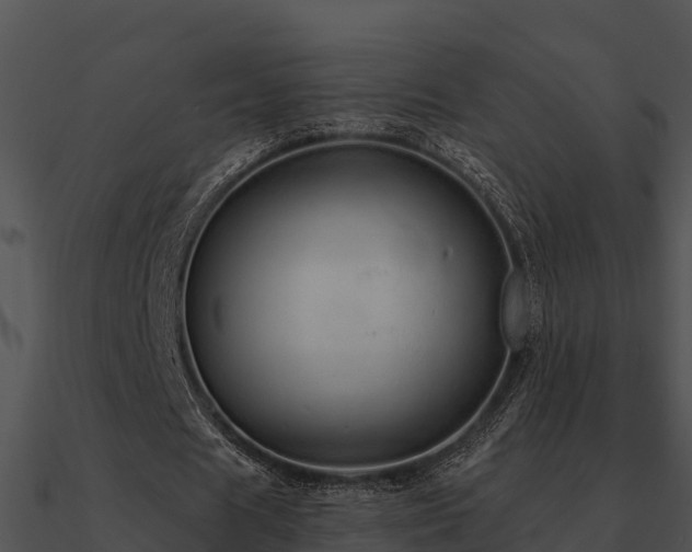 X0000090990625200708021523