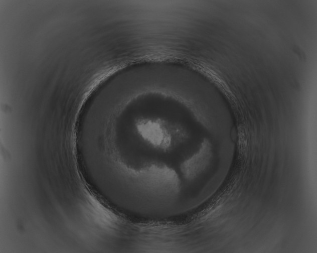 X0000090990626200708021523