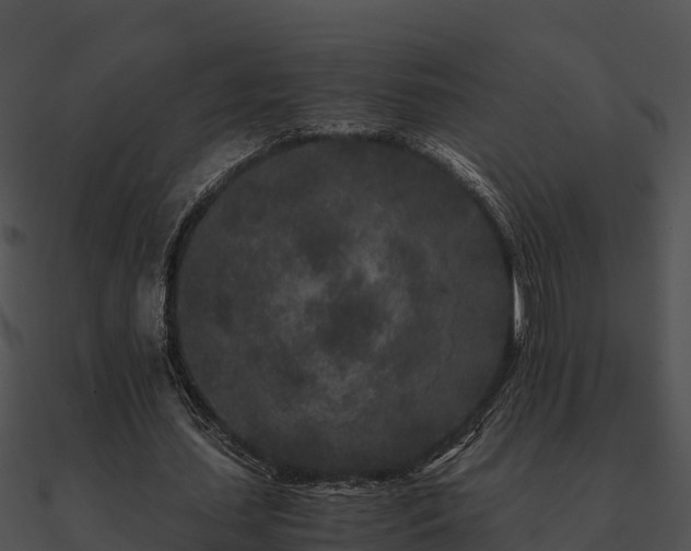 X0000090990627200708021523