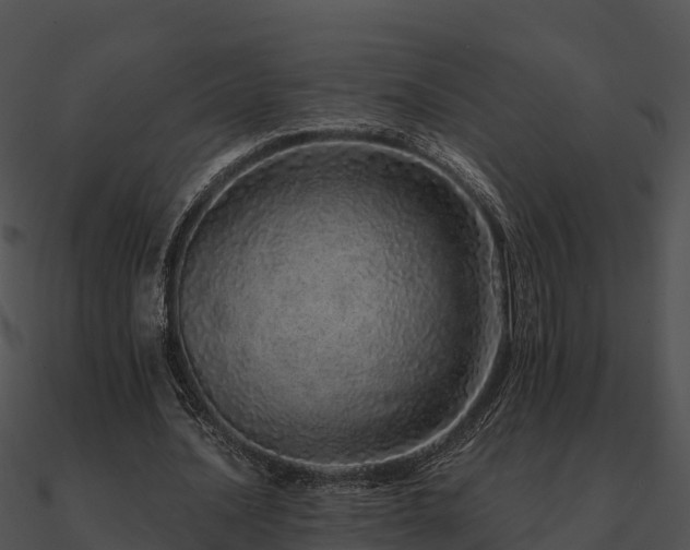 X0000090990628200708021523